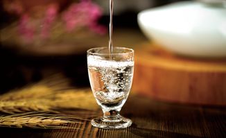 到位白酒 以品質為舟，徜徉于小眾市場的匠心航跡